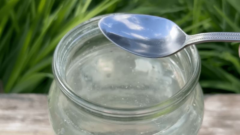 Просте добриво для огірків, яке приносить бажаний урожай