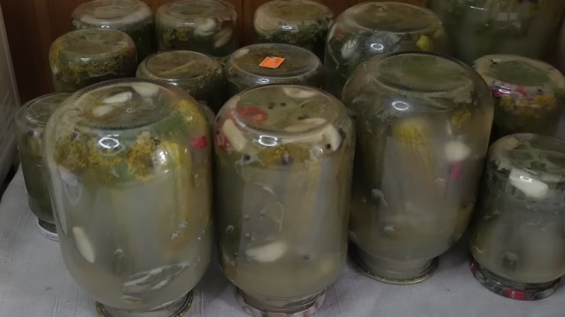 Ароматні квашені огірки на зиму. Хрумтять, як бочкові: рецепт без оцту та цукру