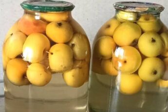 Компот з яблук на зиму