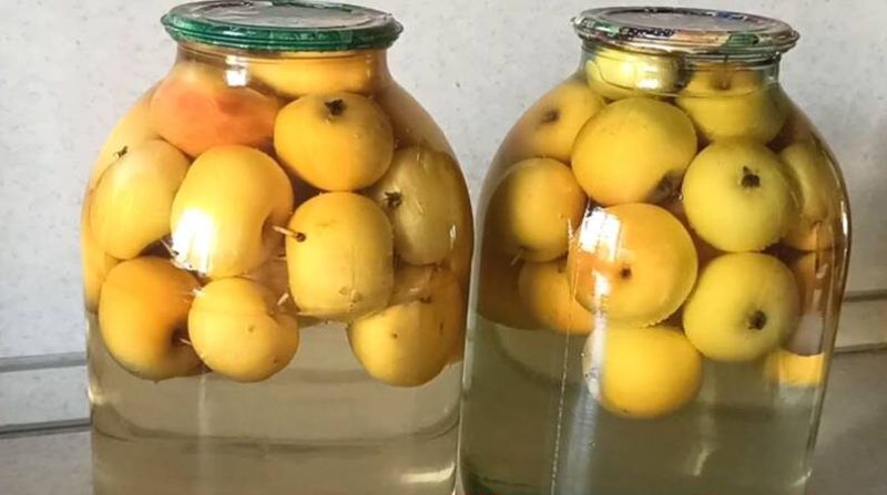 Компот з яблук на зиму