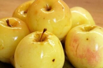 Мочені яблука в банках