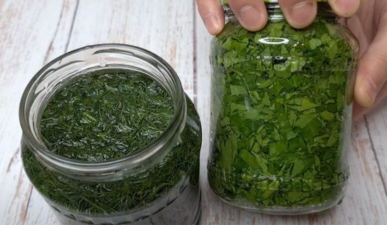 Заготовка зелені на зиму